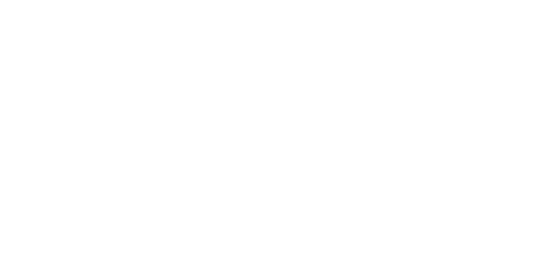 Noviot Pochetok